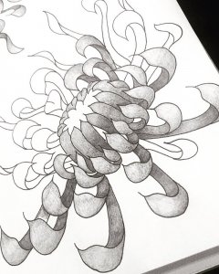 慎先生菊花纹身手稿